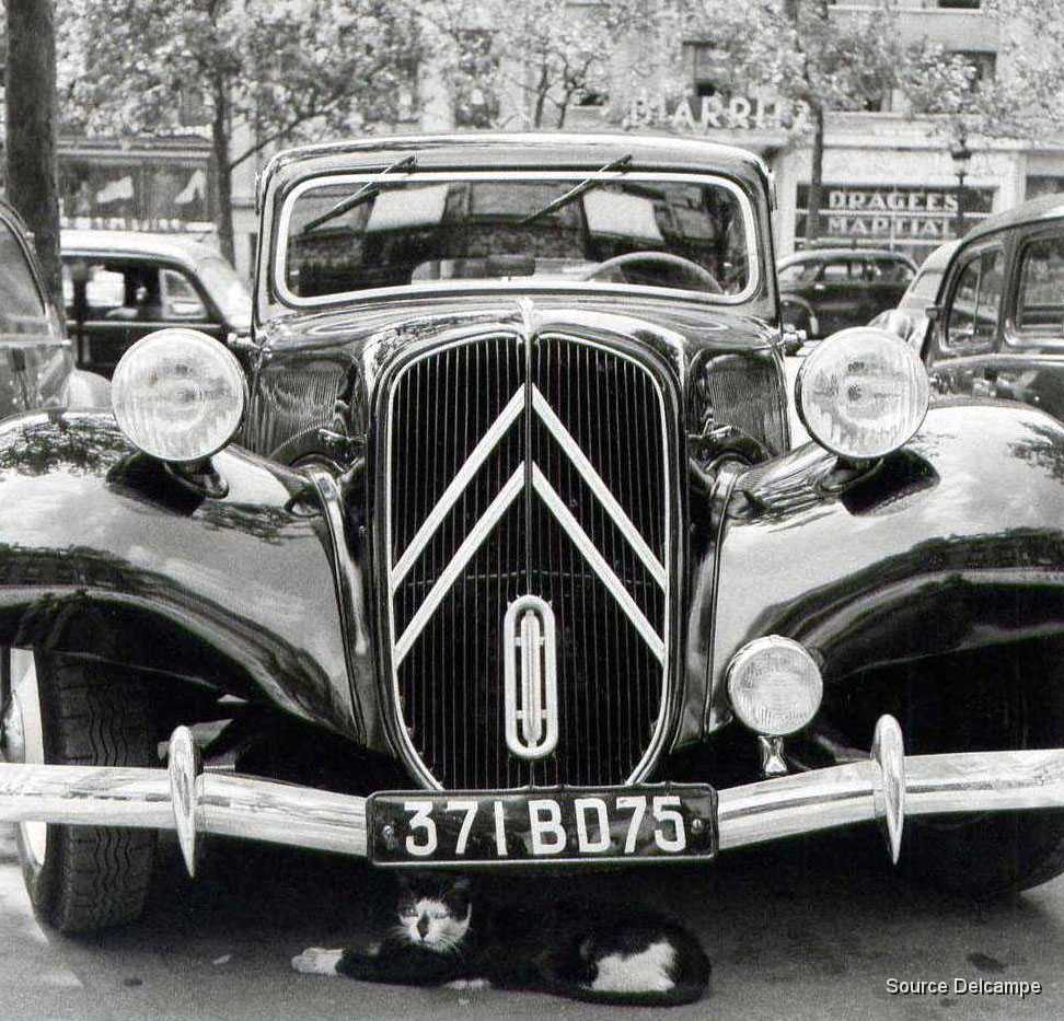 75 Paris Le Chat.jpg
